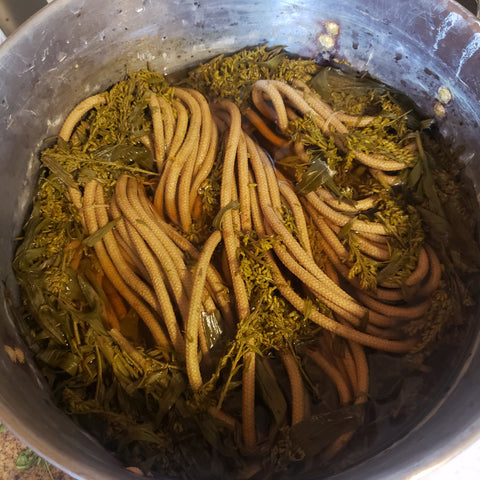 dyeing with golden rod