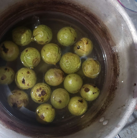 green walnuts in a metal pot covered with water