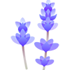 mellow-lavender