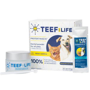 TEEF for Life -Protektin42K  Prebiotic Dental Powder for All Pets (including sensitive ones) - IVCstore