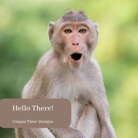 Funny looking monkey with a sign that says Hello There