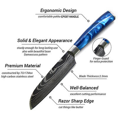 Blue Resin Handle Knife 4