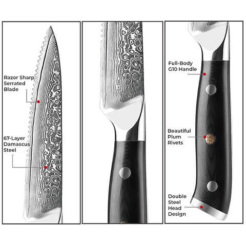 Steak Knives, 4Pcs Damascus Premium Steak Knives Set (Non-Serrated), 5  Japanese Damascus AUS-10 67-Layer Sharp High End Knife Set, Ergonomic  Luxury Olive Wood Handle with Wood Gift Box 