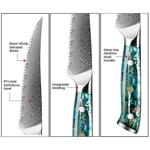 Umi 11-Piece Japanese Damascus Steel Knife Block Set - With Abalone –  Senken Knives