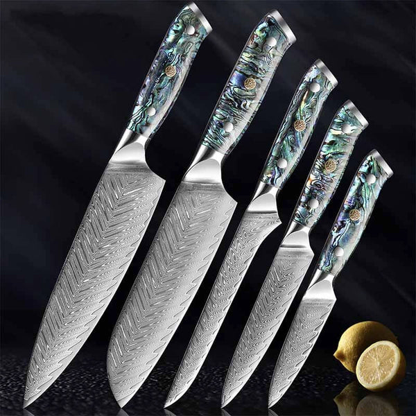 https://cdn.shopify.com/s/files/1/0511/4268/8945/products/UmiJapaneseDamascusSteel5PieceKnifeCollectionwithAbaloneShellHandle_600x.jpg?v=1645404085