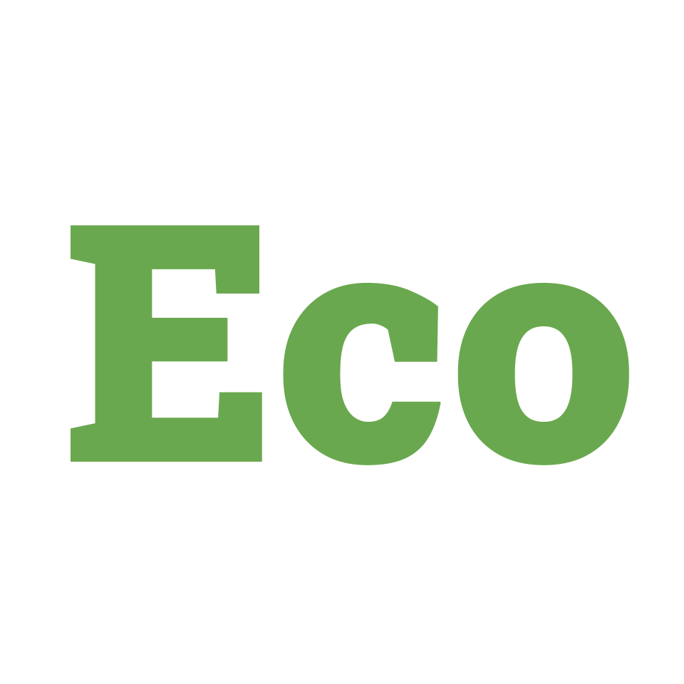 The Eco-Friendly Shop