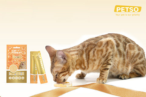 CAT FOREST Premium Tuna Canned Cat Food image