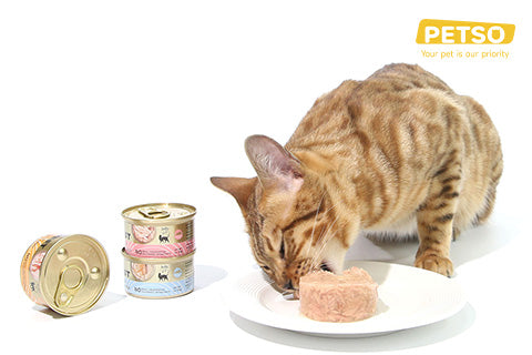 CAT FOREST Classic Tuna Canned Cat Food image