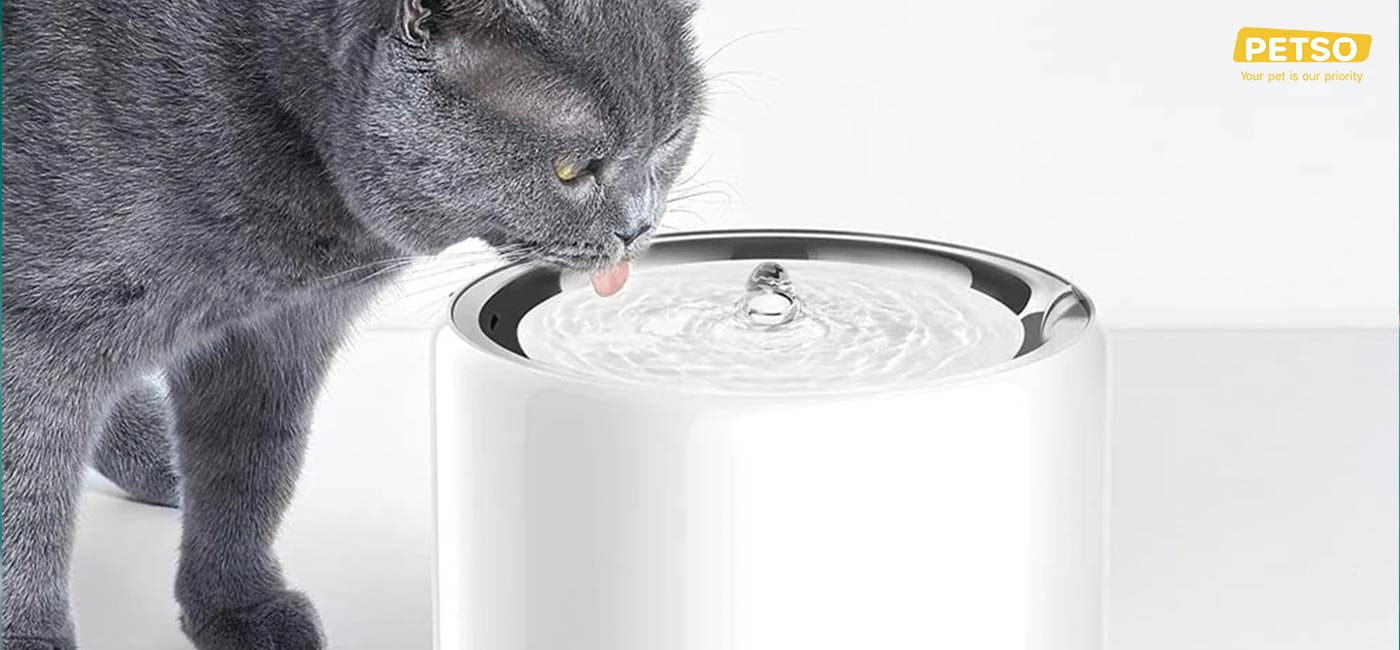 PETKIT Eversweet 3 Pro Wireless Smart Pet Drinking Water Fountain 1.8L