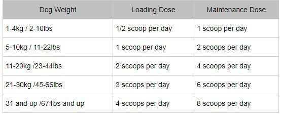 4CYTE 50g Directions for Use