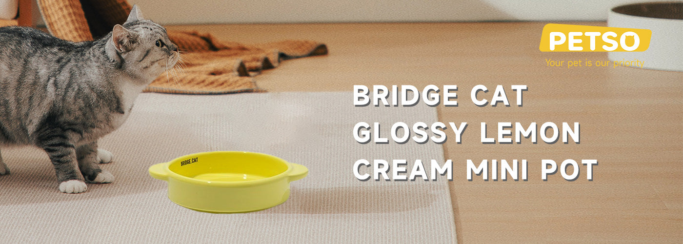 Bridge Cat Glossy Lemon Cream Mini Pot