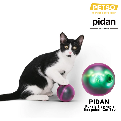 PIDAN Purple Electronic Dodgeball Cat Toy