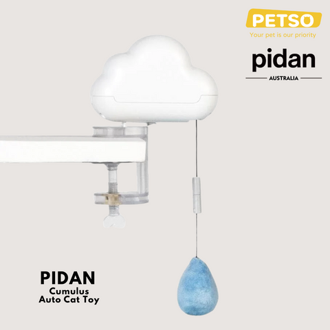 PIDAN Cumulus Auto Cat Toy