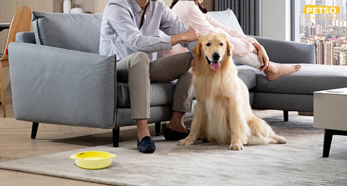 Bridgedog Pet Bowl