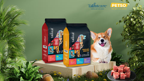 TALENTAIL Chicken with Brown Rice Kibble Dog Food for Adult Dogs and Lamb with Brown Rice Kibble Dog Food For Adult Dogs image