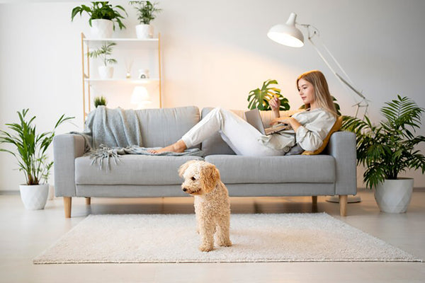 High-tech home with Pets image