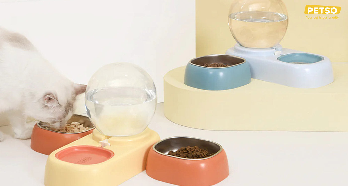 Pakeway Pet Bowl