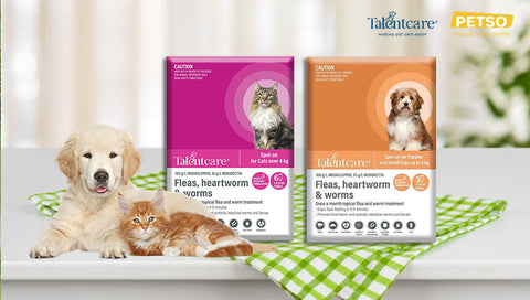 TalentCare Spot-on Deworming Medication image