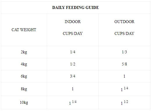 Cat Food Guide