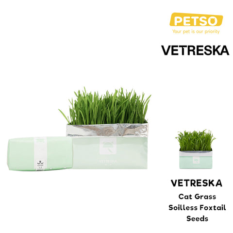 Vetreska Foxtail Cat Grass Seeds