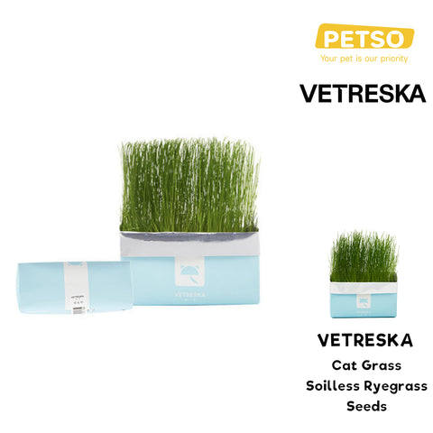 Vetreska Rye Grass Seeds