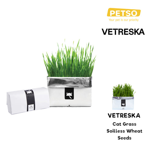 Vetreska Wheat Grass Seeds