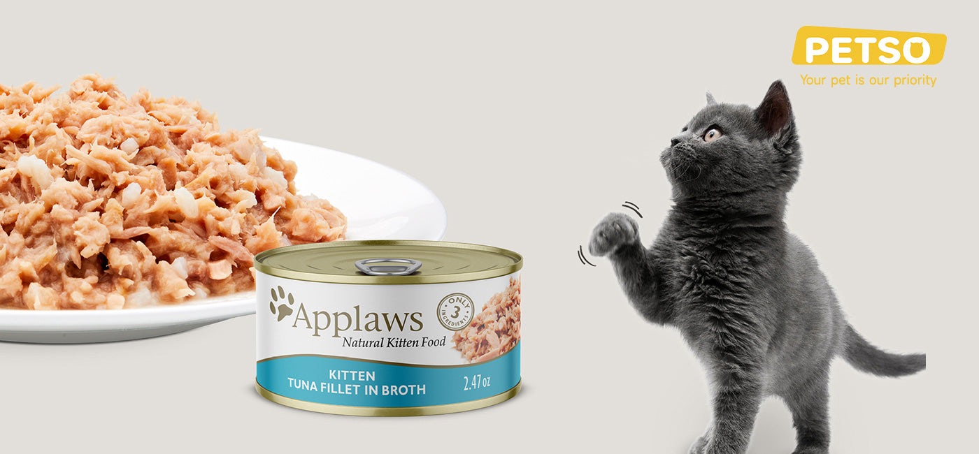 AppLaws Premium Cat Canned Food