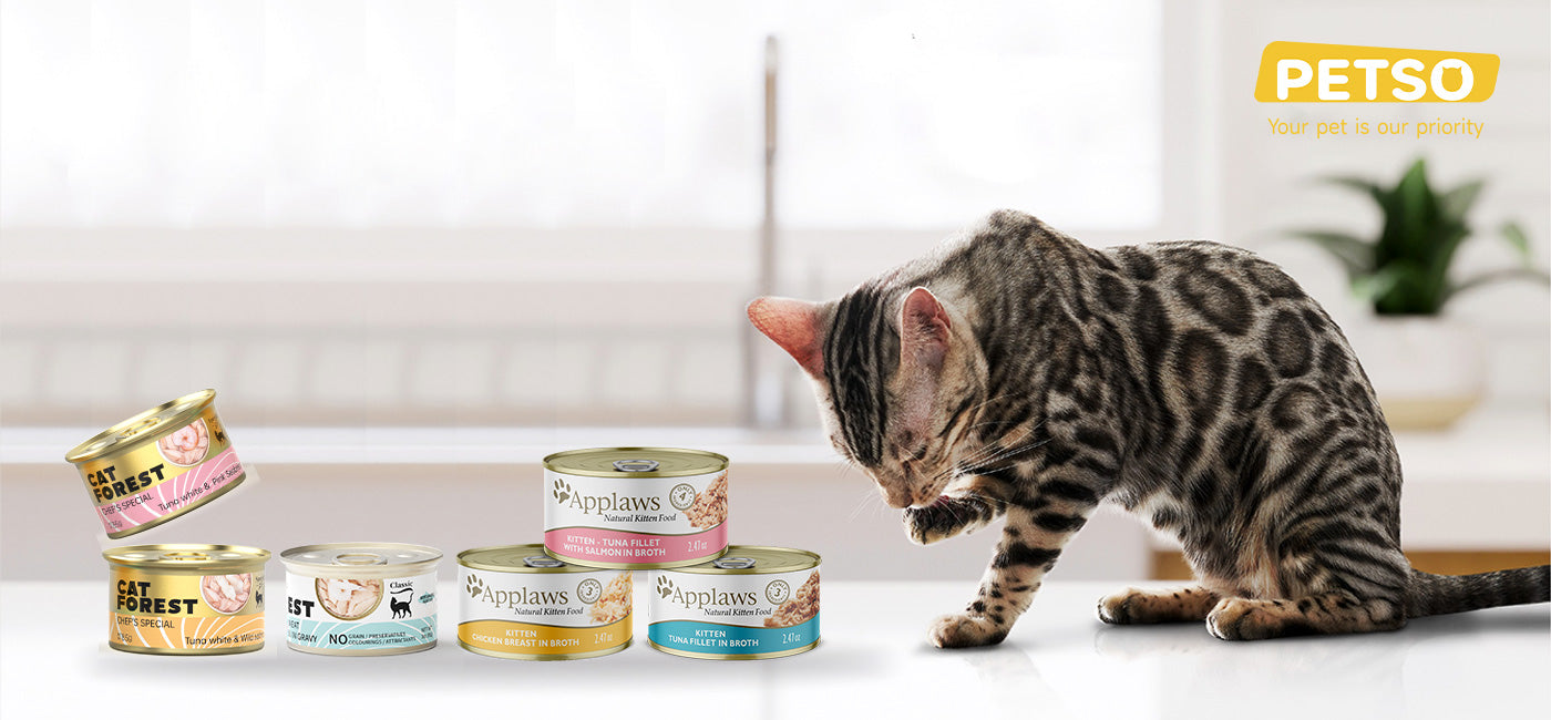 Premium Cat Food Collection