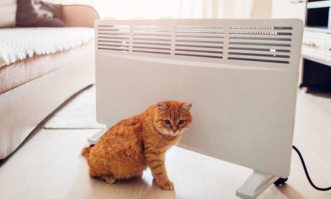 Cat near heater