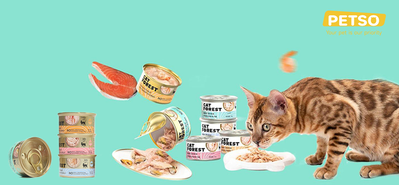 Catforest Premium Cat Canned Food Collection