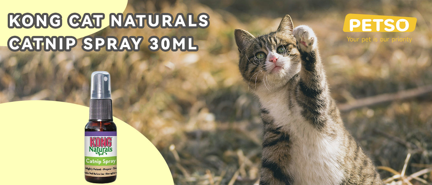 KONG Cat Naturals Catnip Spray