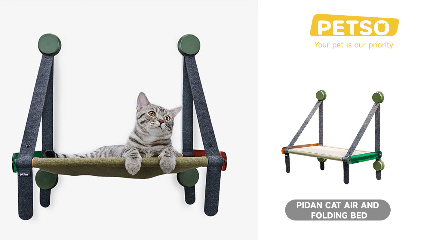 Pidan Cat Air and Folding Ber