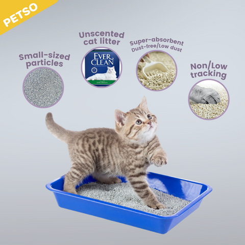 Cat Litter Characteristics