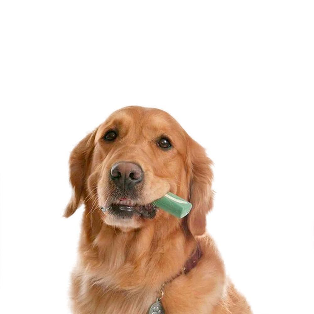 are-oravet-chews-safe-for-dogs