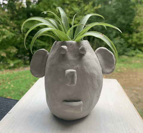 Face planter with air plant