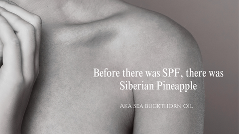 SPF Sea Buckthorn