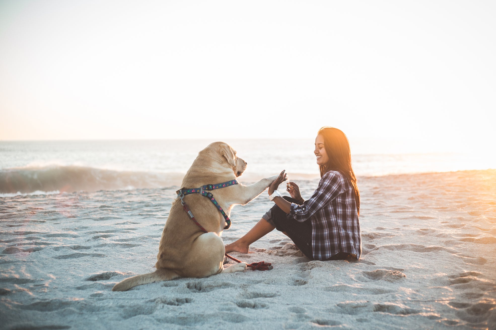 dog friendly beaches malibu