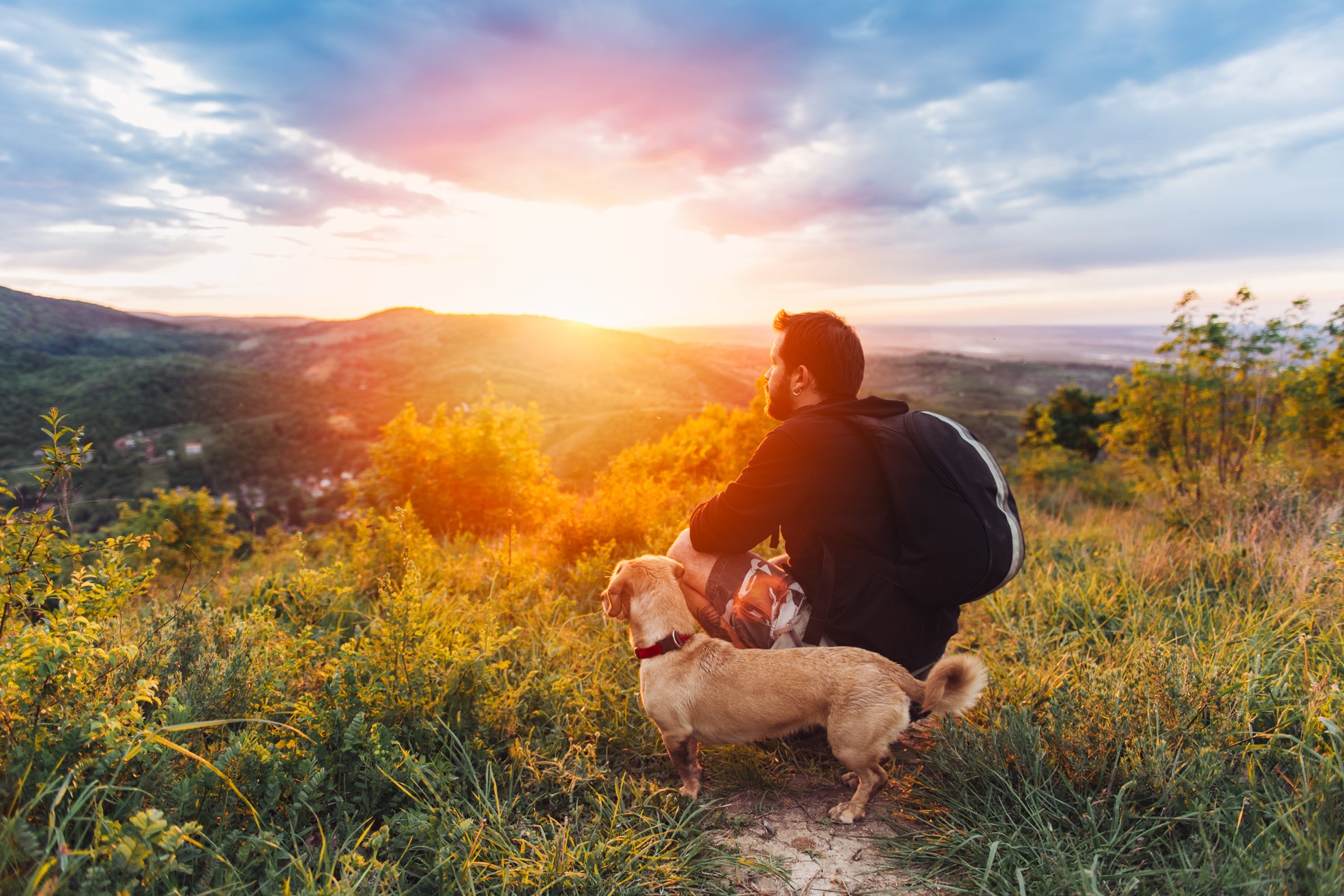 dog friendly hikes malibu