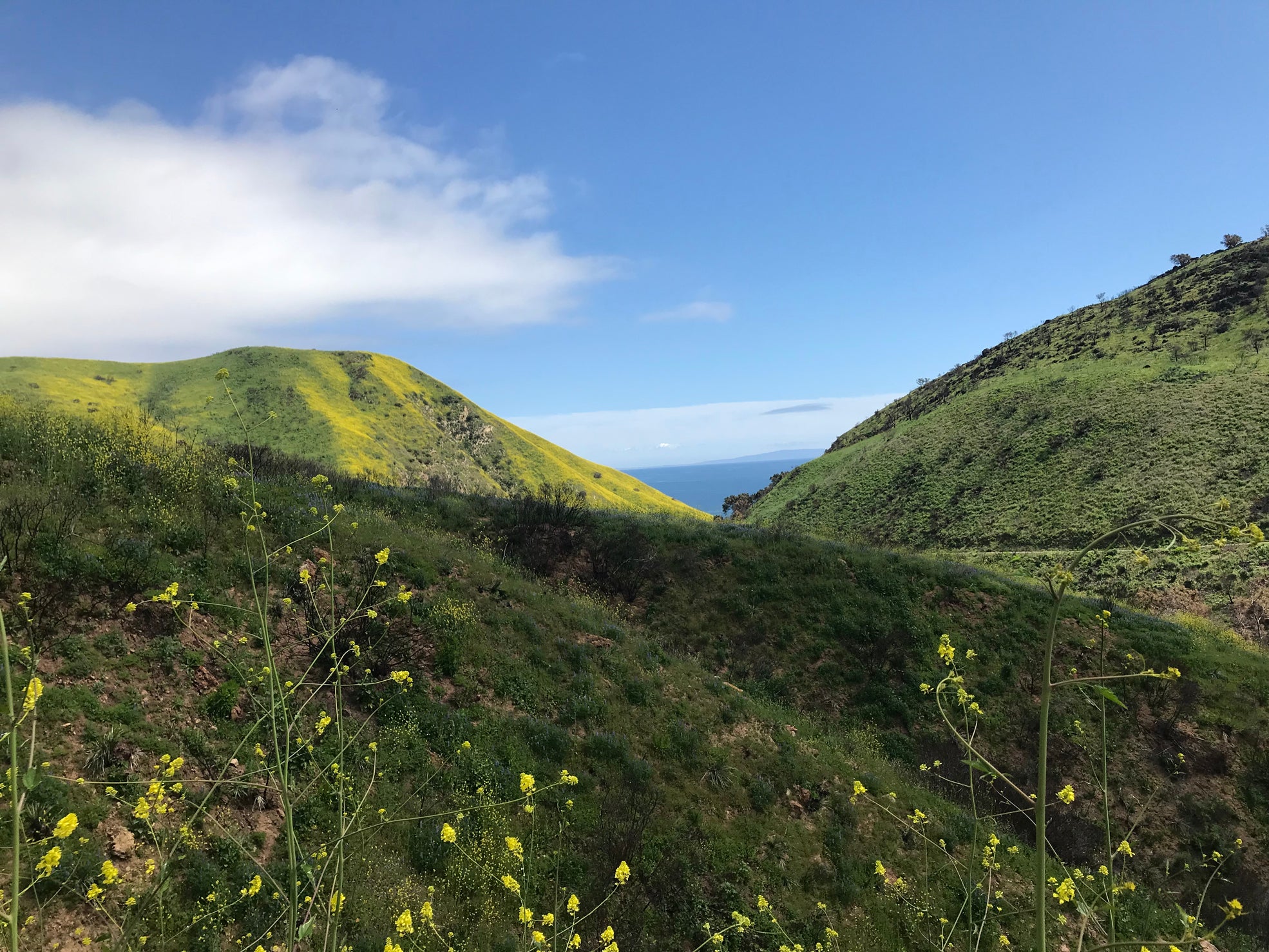 malibu hiking solstice canyon