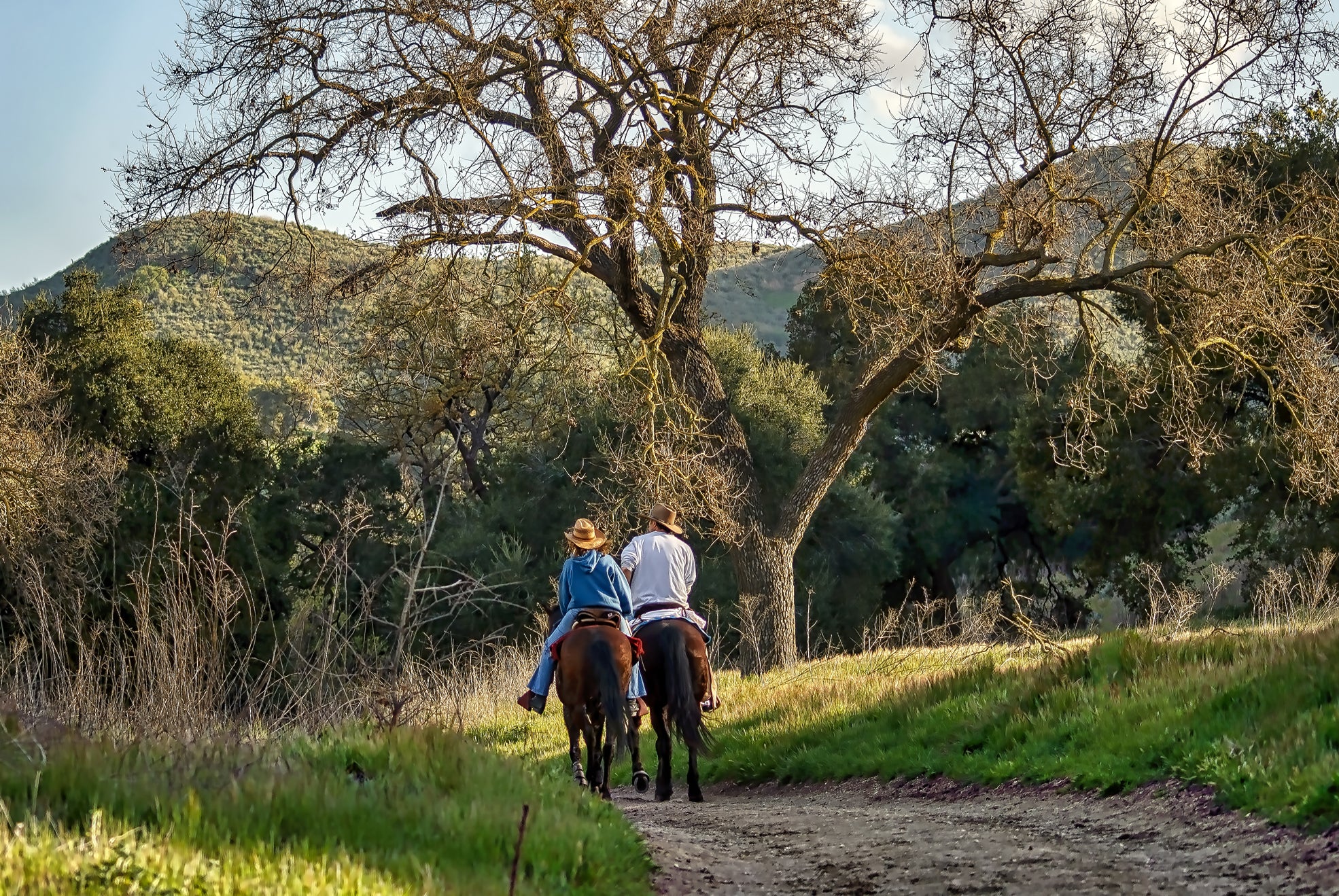 things to do in malibu horse ride