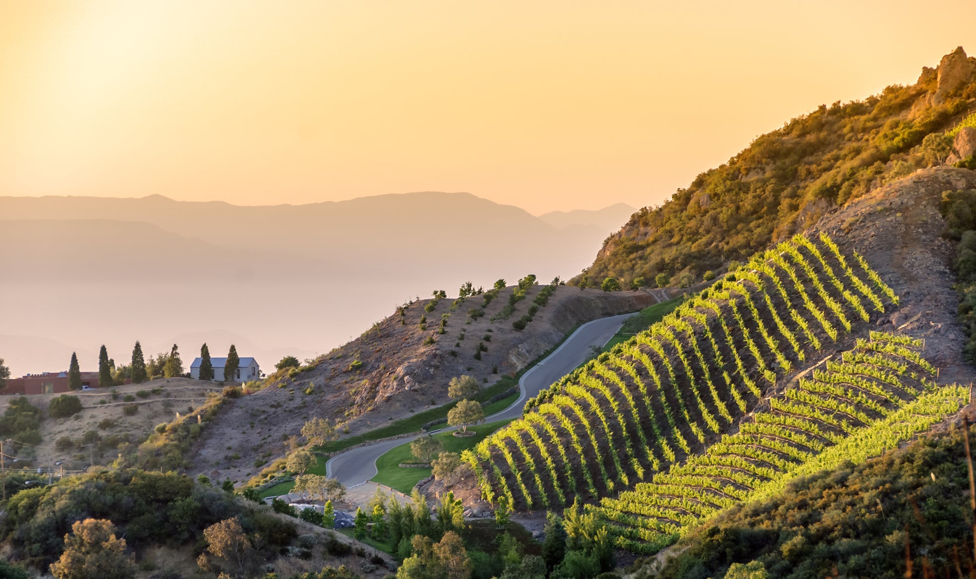 things to do in malibu wine safari