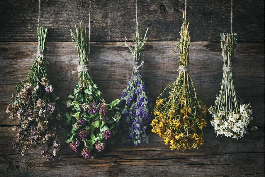 how to arrange dried flowers at home