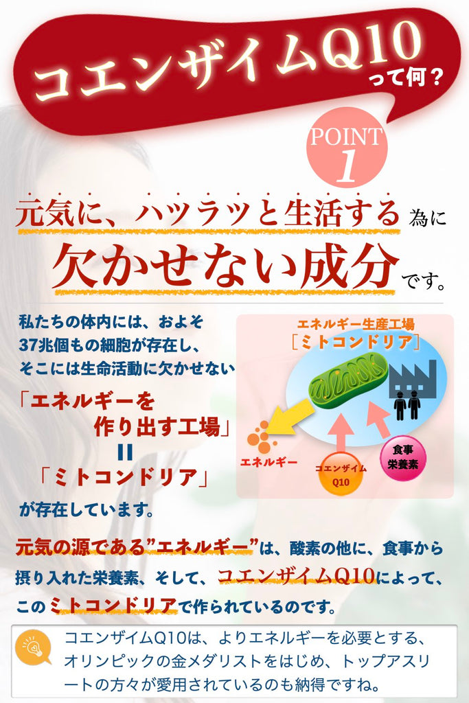 コエンザイムQ10 q10 とは