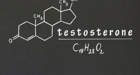 legame tra testosterone e la pianta adattogena Ashwagandha