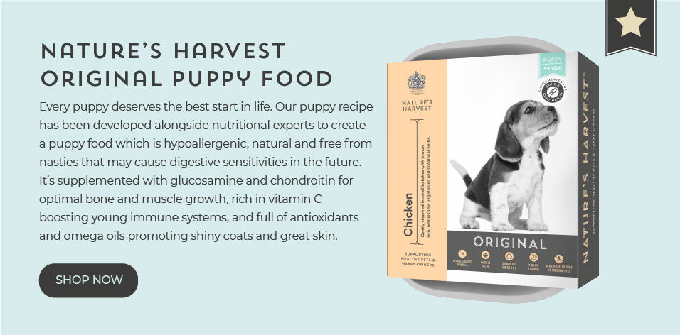 Natures' Harvest Original Puppy Food Shop Prompt with text "Every puppy deserves the best start in life. Our puppy recipe has been developed alongside nutritional experts to create a puppy food which is hypoallergenic, natural and free from nasties that may cause digestive sensitivities in the future. It’s supplemented with glucosamine and chondroitin for optimal bone and muscle growth, rich in vitamin C boosting young immune systems, and full of antioxidants and omega oils promoting shiny coats and great skin."