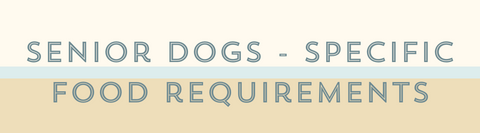 senior dogs have specific food requirements