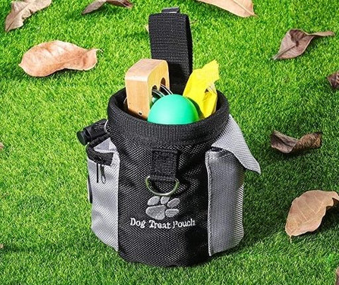 Dog Treat Pouch