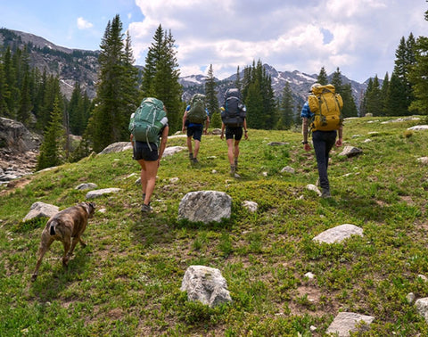 Hikers trudging up a hill with their dog.