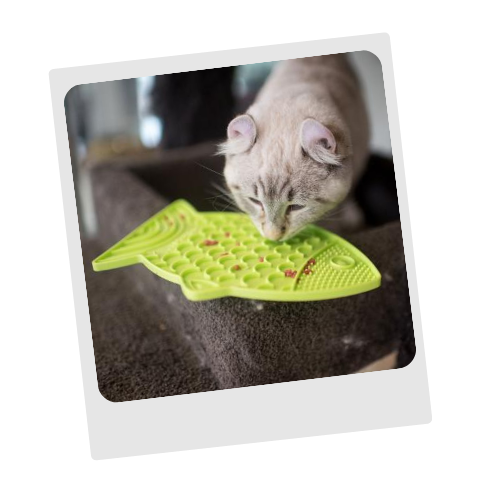 Lickalot Saver Bundle for Cats by Floofy Monsters