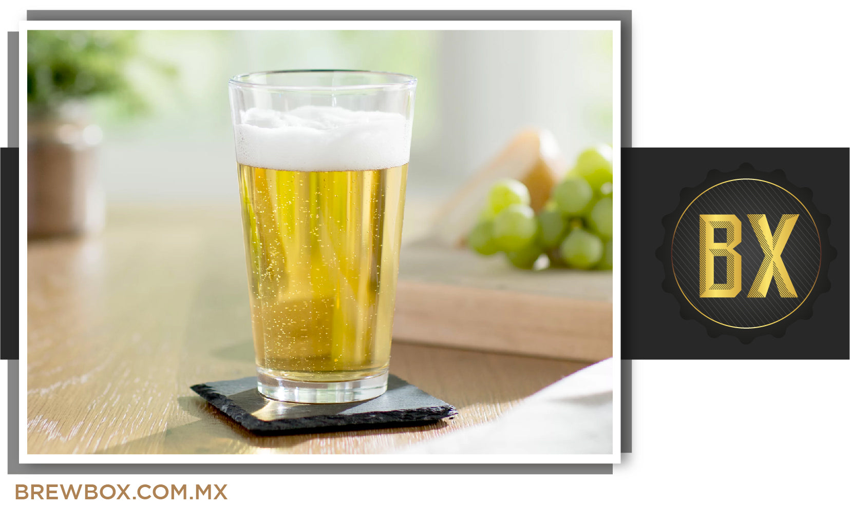 Receta BREWBOX Blonde Ale - República Cervecera